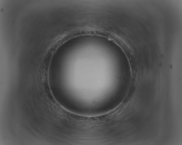 X0000086271207200704051300