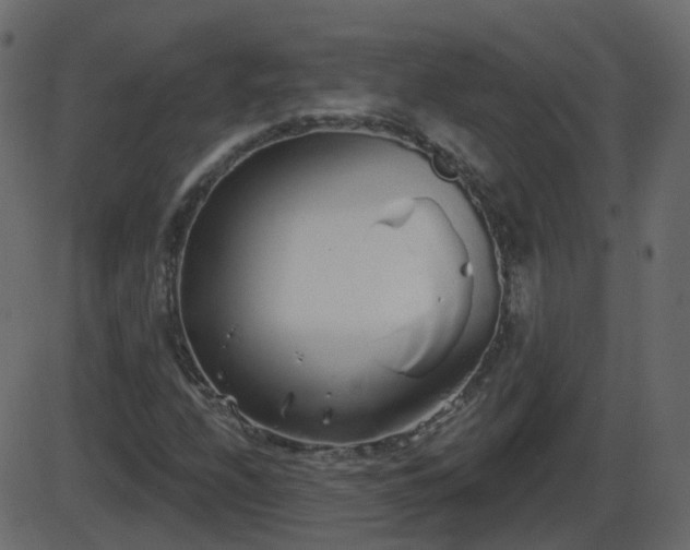 X0000086271208200704051300