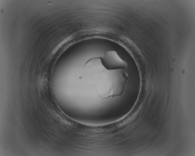 X0000086271210200704051300