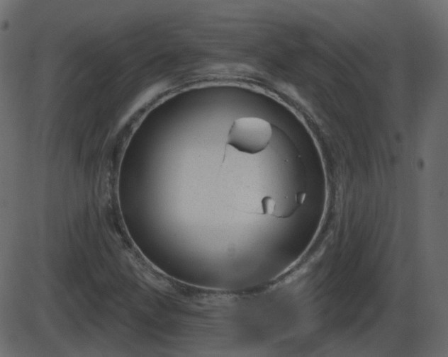 X0000086271211200704051300