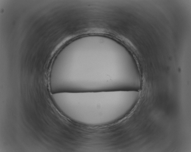 X0000086271212200704051301