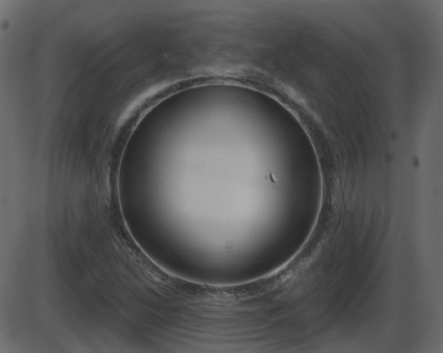 X0000086271214200704051301