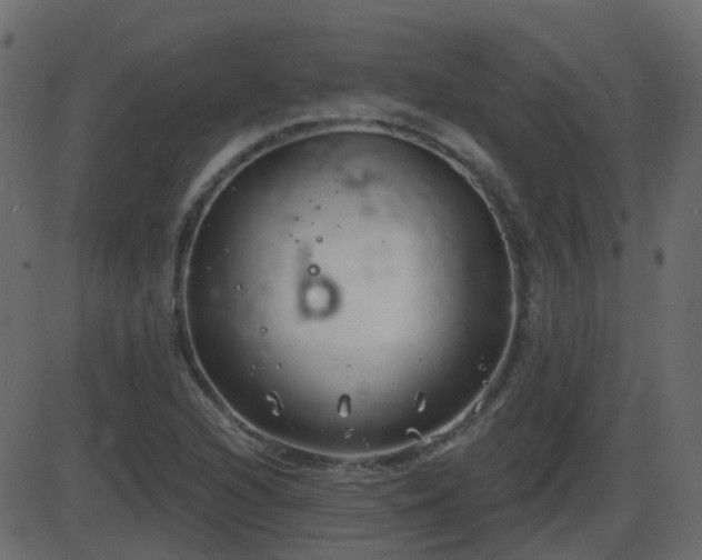 X0000086271216200704051301