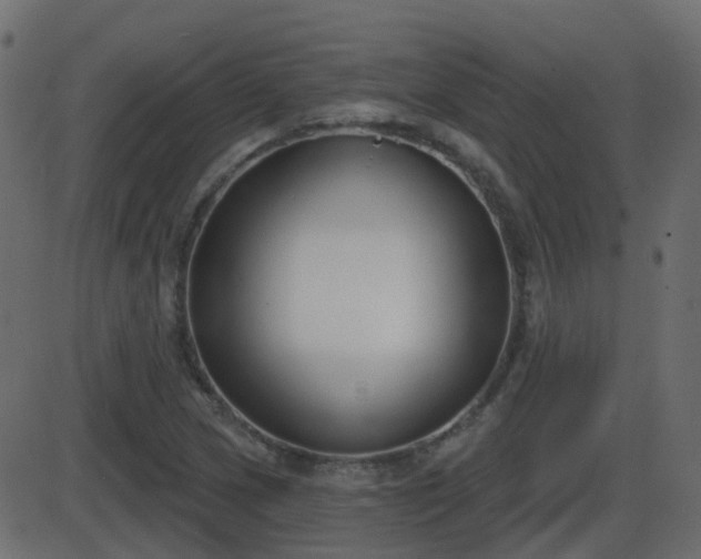 X0000086271217200704051301