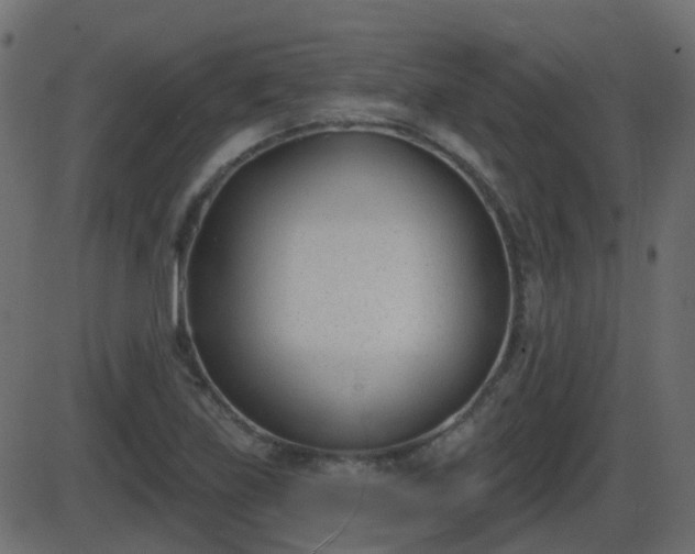 X0000086271219200704051301