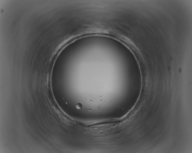 X0000086271220200704051301