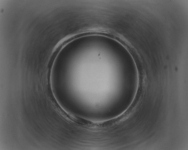 X0000086271222200704051301