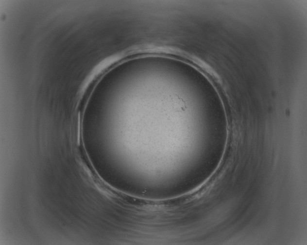 X0000086271223200704051301