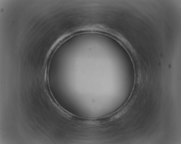 X0000086271224200704051301