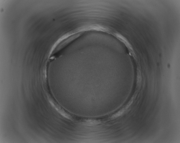 X0000086271226200704051301