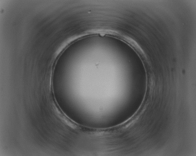 X0000086271228200704051301