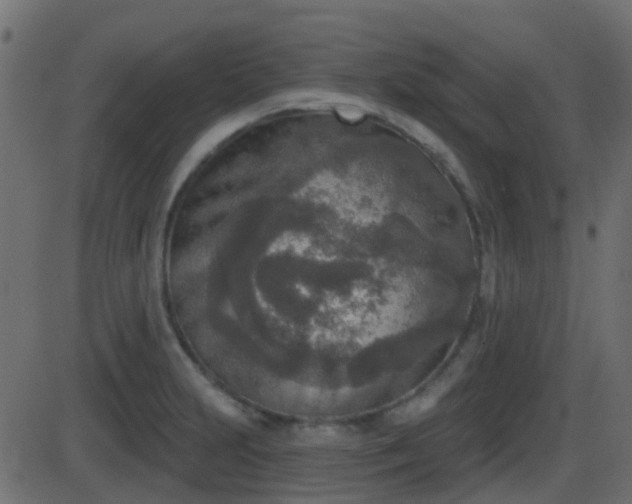 X0000086271231200704051301