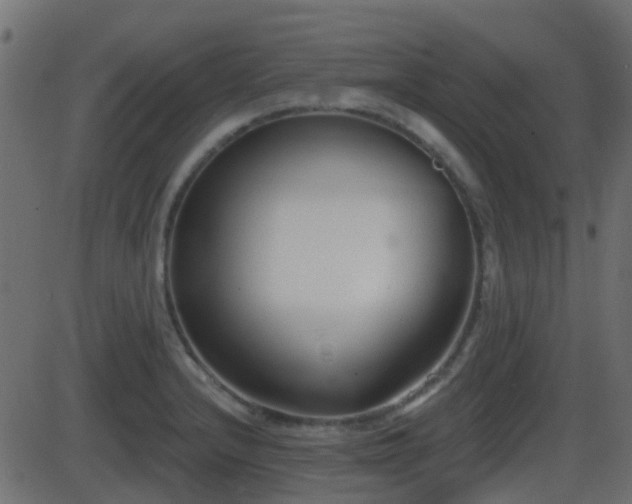 X0000086271232200704051301