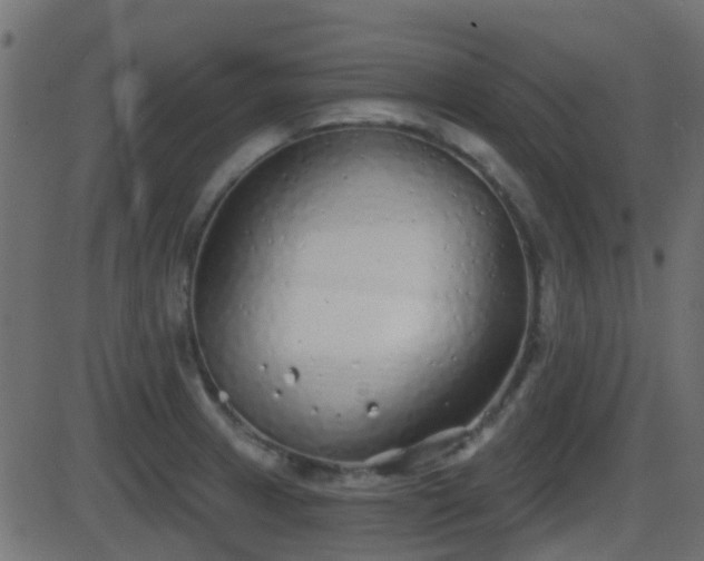 X0000086271233200704051301