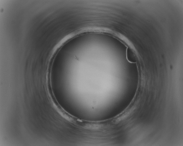 X0000086271237200704051301