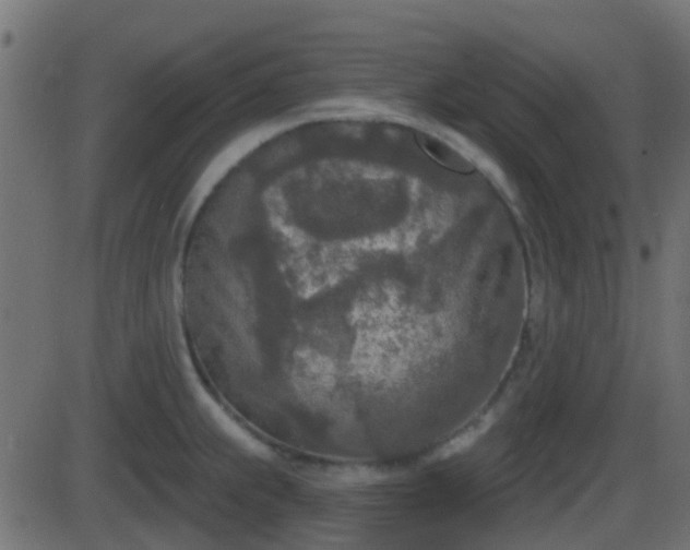 X0000086271239200704051301