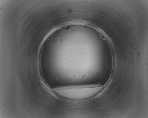 X0000086271240200704051301