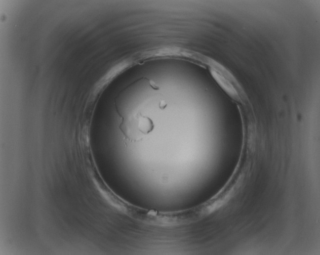 X0000086271241200704051301