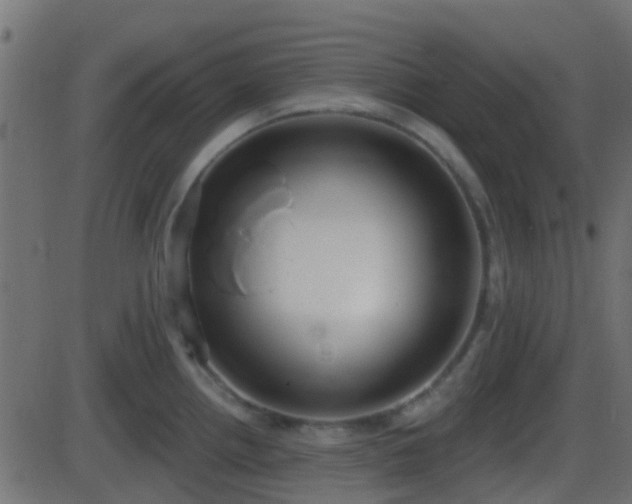 X0000086271242200704051301