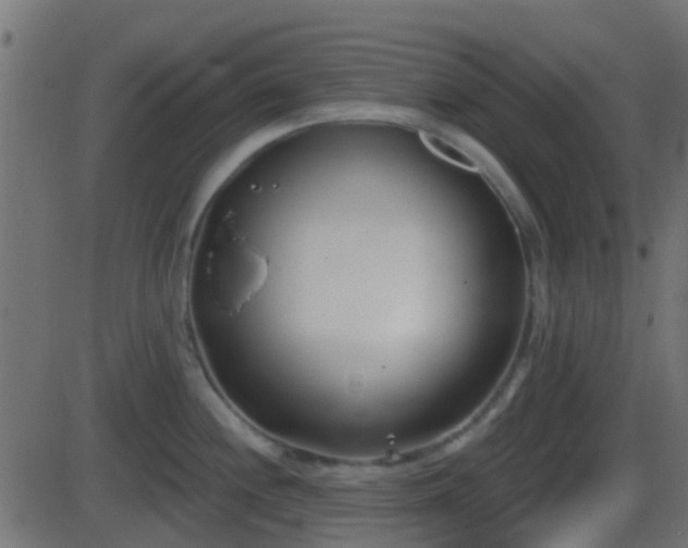 X0000086271244200704051301