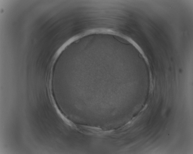 X0000086271245200704051301