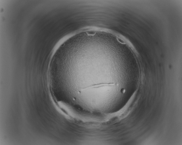 X0000086271247200704051301