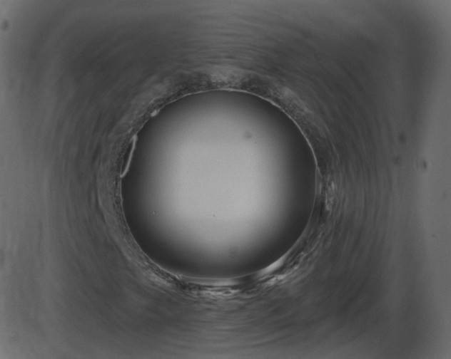 X0000086271249200704051300