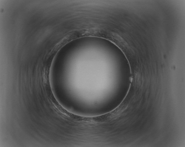 X0000086271250200704051300