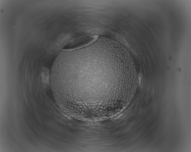 X0000086271251200704051300