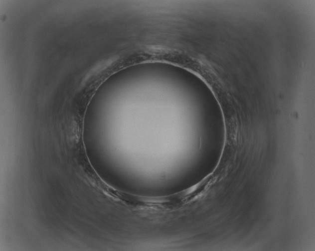 X0000086271253200704051300