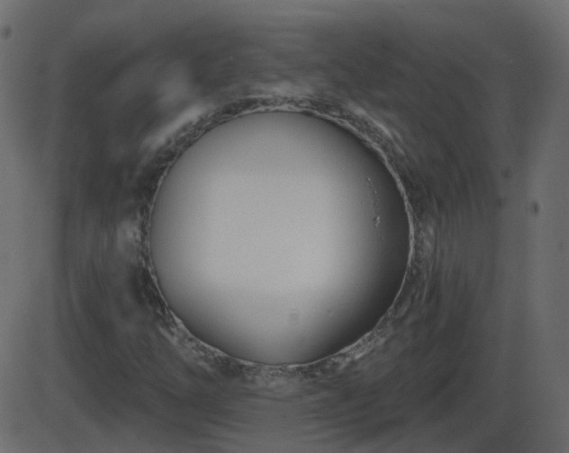 X0000086271254200704051300