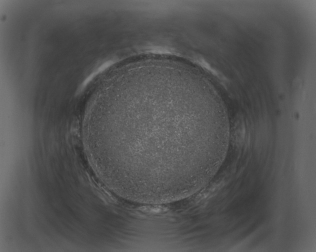 X0000086271255200704051300