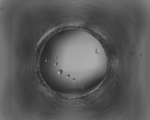 X0000086271256200704051300