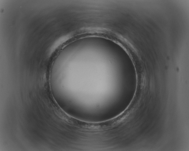 X0000086271261200704051300