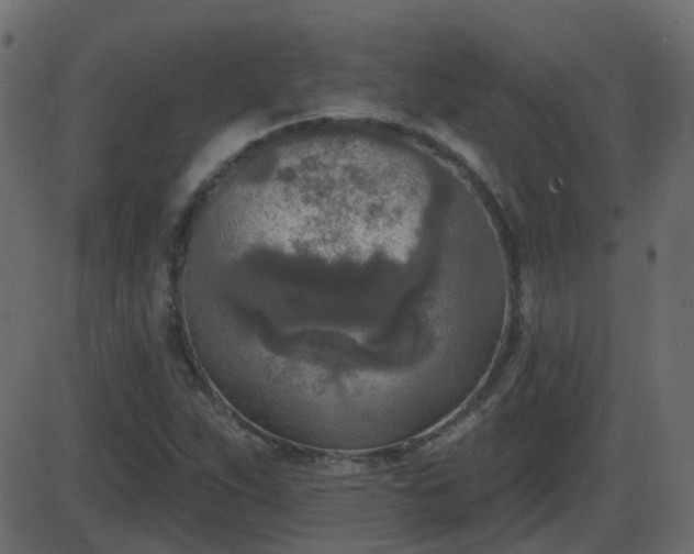 X0000086271263200704051300