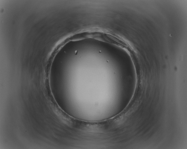 X0000086271264200704051300