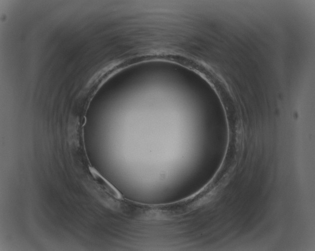 X0000086271265200704051300