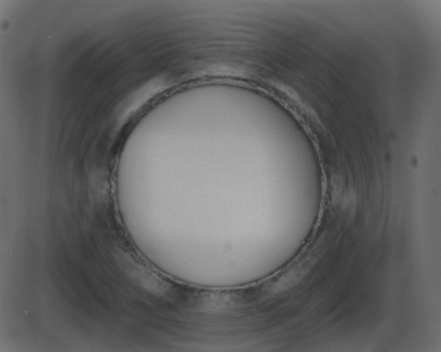 X0000086271266200704051300