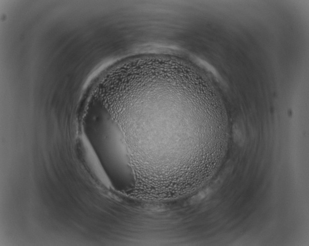 X0000086271267200704051300