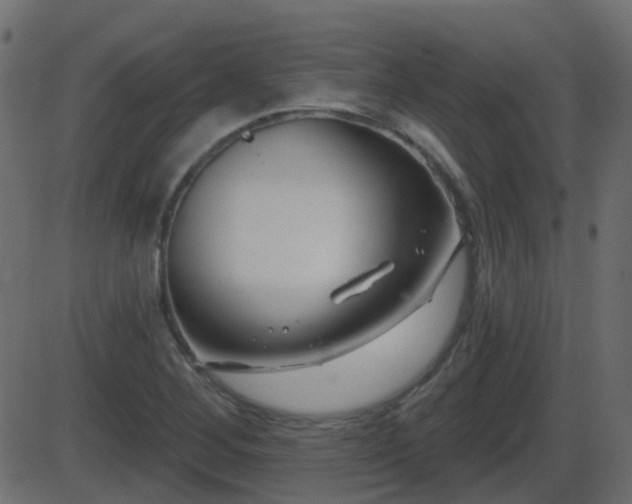 X0000086271268200704051300