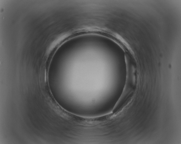 X0000086271269200704051300