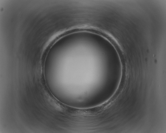 X0000086271270200704051300