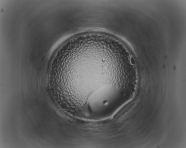 X0000086271271200704051300