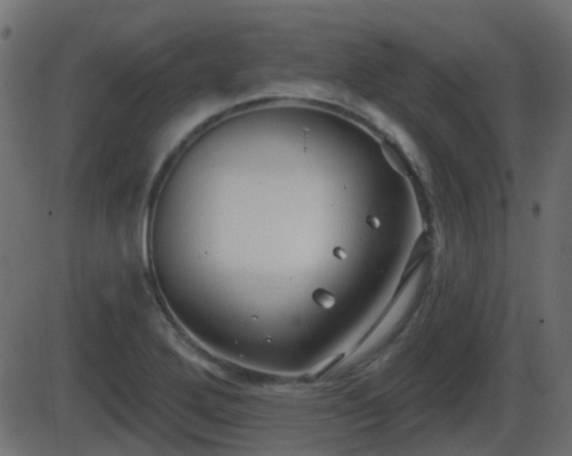 X0000086271272200704051300