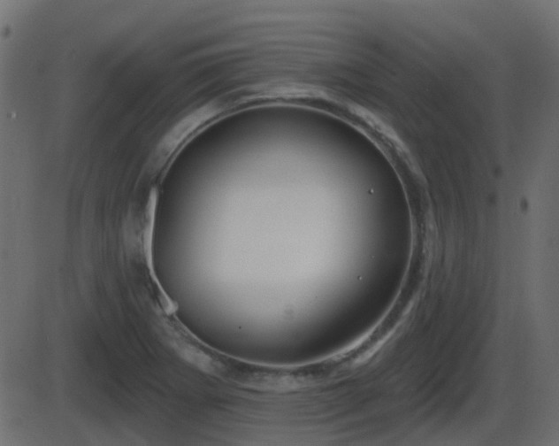 X0000086271273200704051300