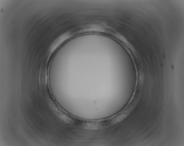 X0000086271274200704051300