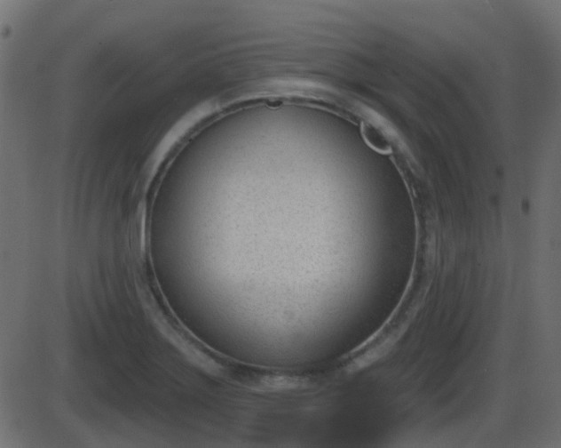 X0000086271275200704051300