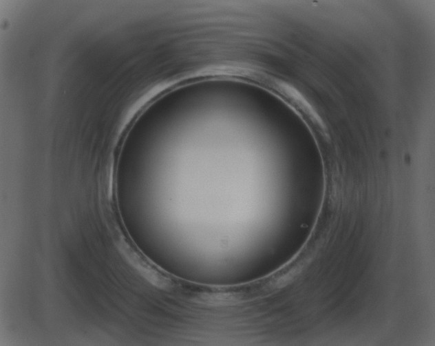 X0000086271276200704051300