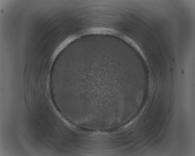 X0000086271277200704051300