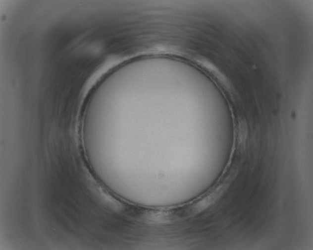 X0000086271278200704051300